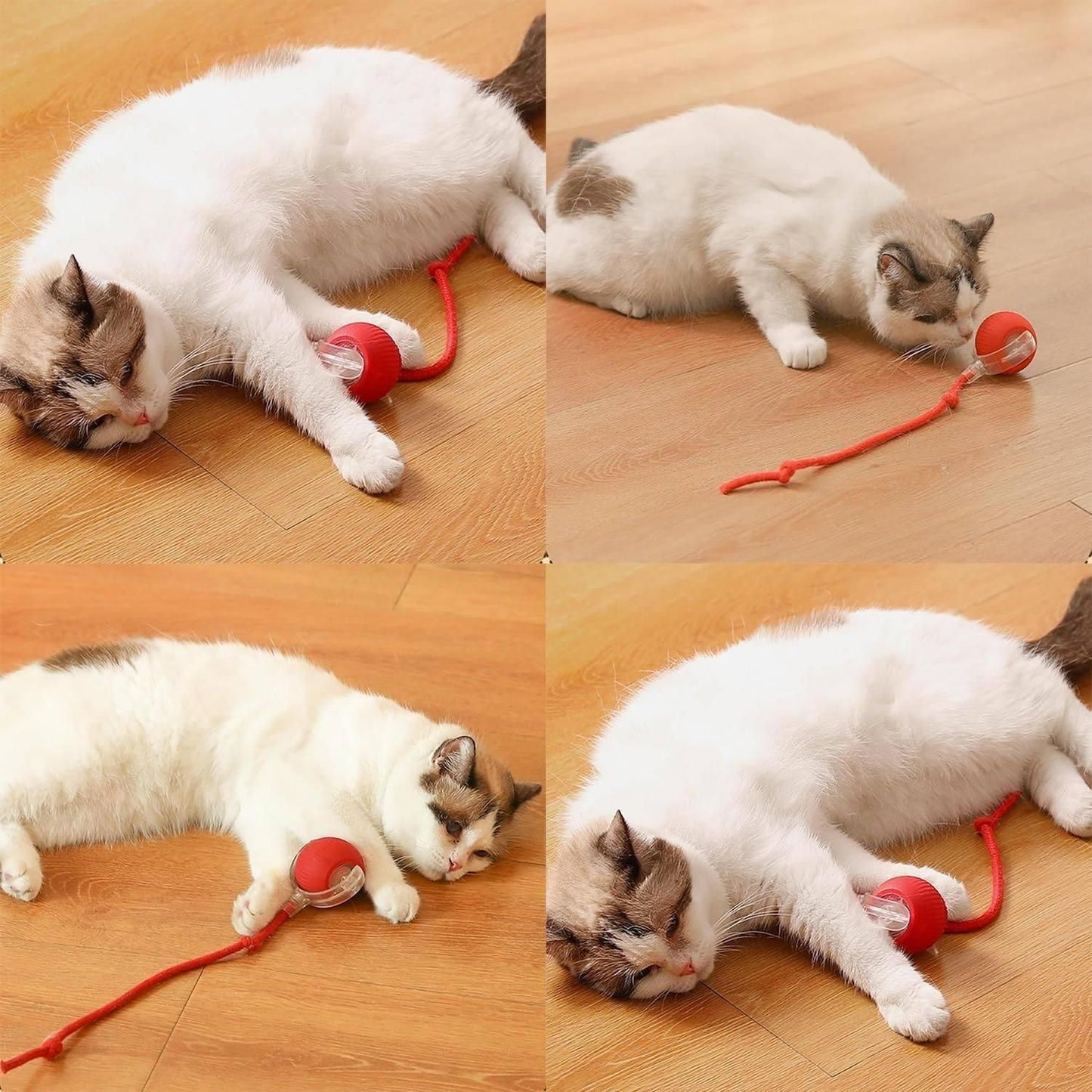 Smart Motion Cat Teaser Ball