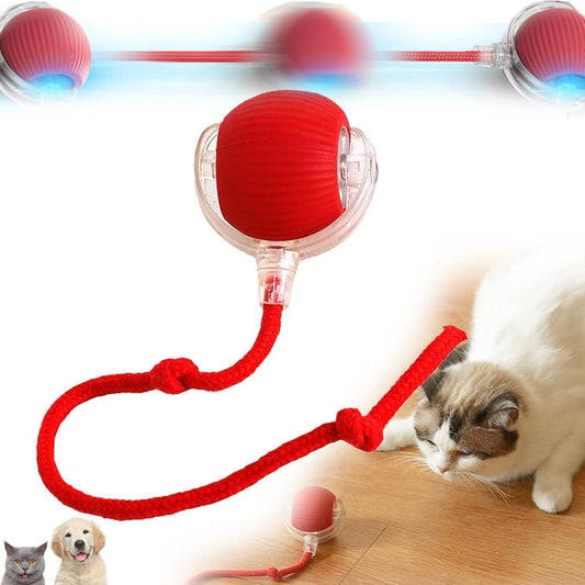 Smart Motion Cat Teaser Ball